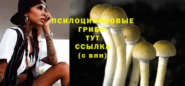 apvp Алексеевка