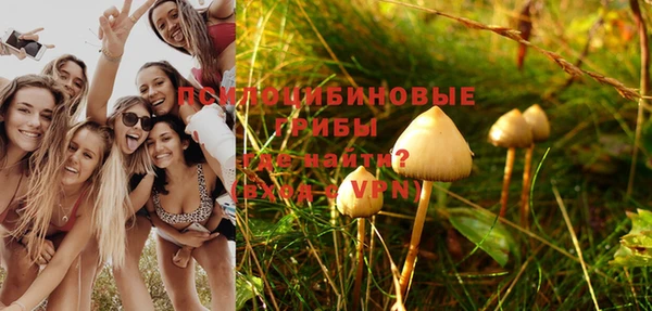 apvp Алексеевка