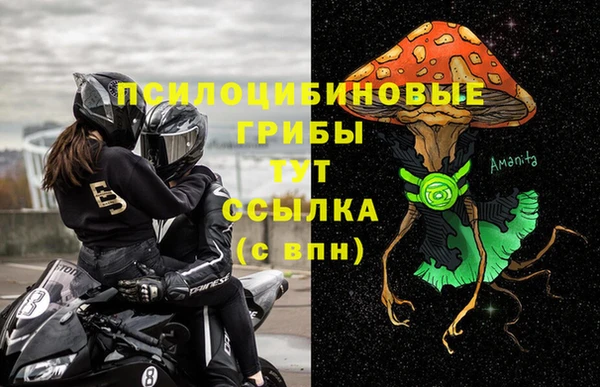 spice Алексин