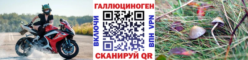 MEGA ТОР  Гурьевск  Псилоцибиновые грибы мицелий 